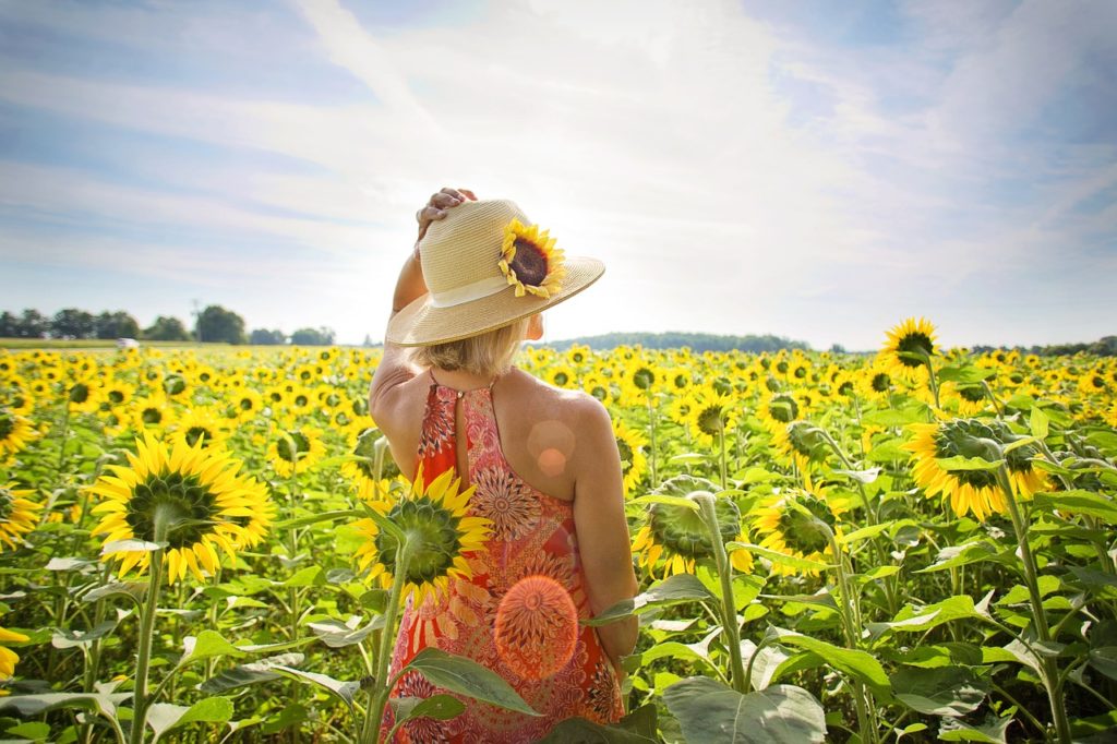 sunflowers, field, woman